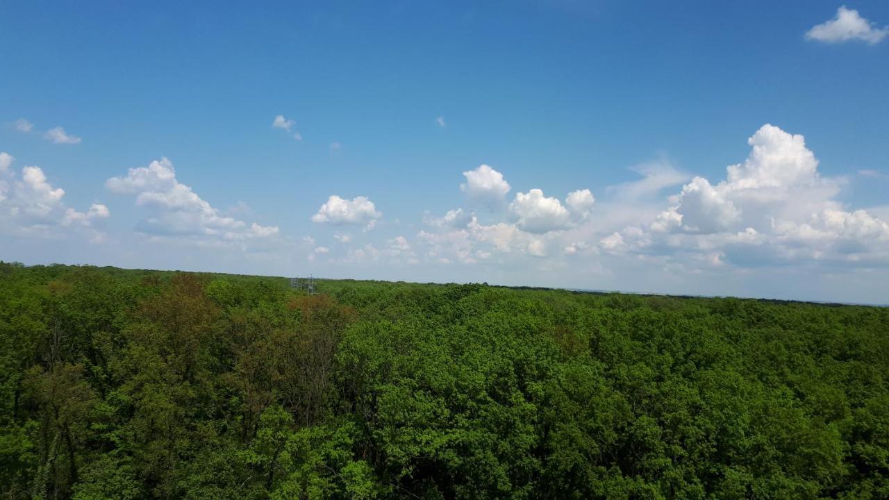 Foresthouse 2 تيميشورا المظهر الخارجي الصورة