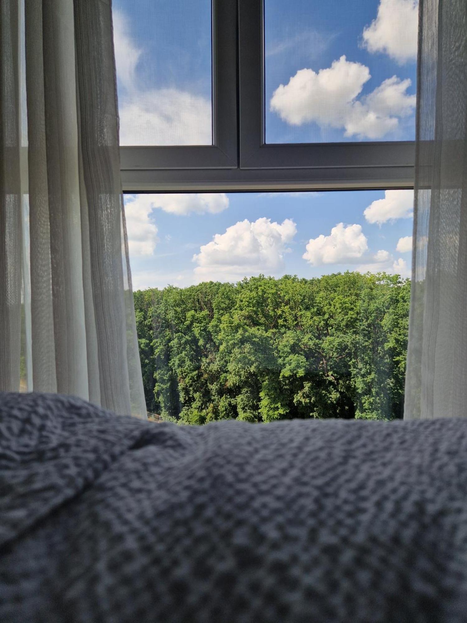 Foresthouse 2 تيميشورا المظهر الخارجي الصورة